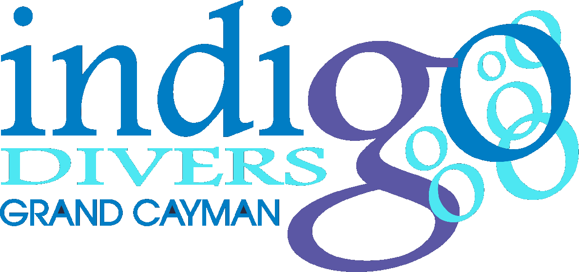 Indigo Divers